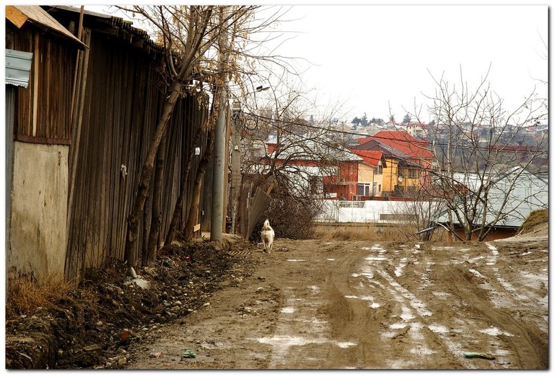 fundenii-doamnei_027