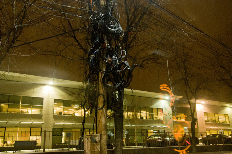 dungha_cabluri_tipic_romanesc_dng1559