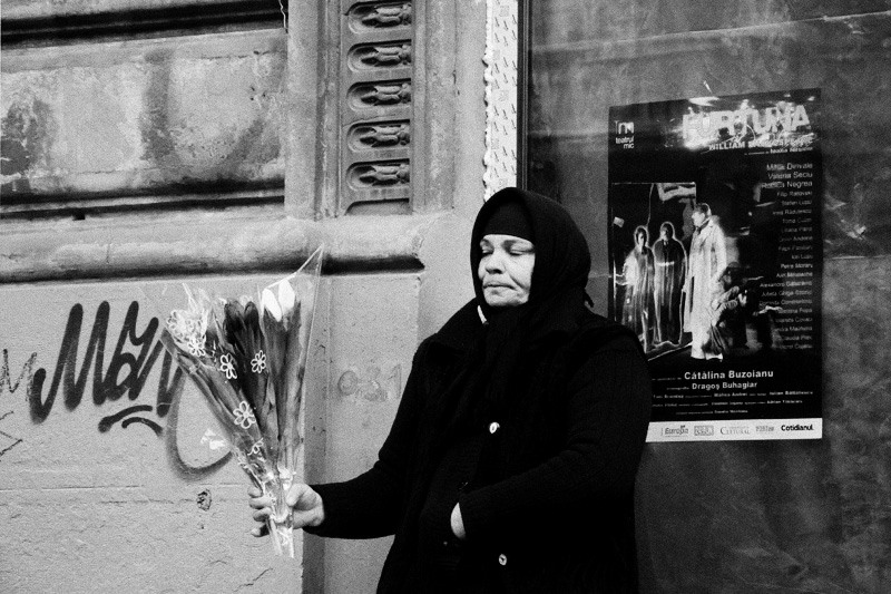 dungha_martisoare_sevalet_dng2108