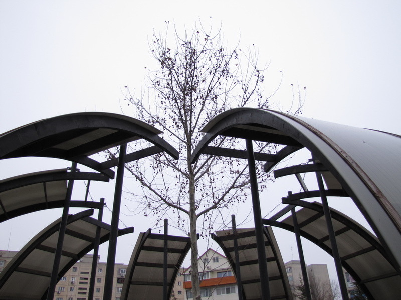 17-ascendind-to-the-center_resize