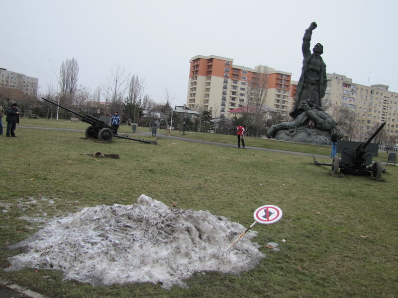 19-o-insula-de-zapada-neagra-intr-o-mare-de-verde-uscat_resize