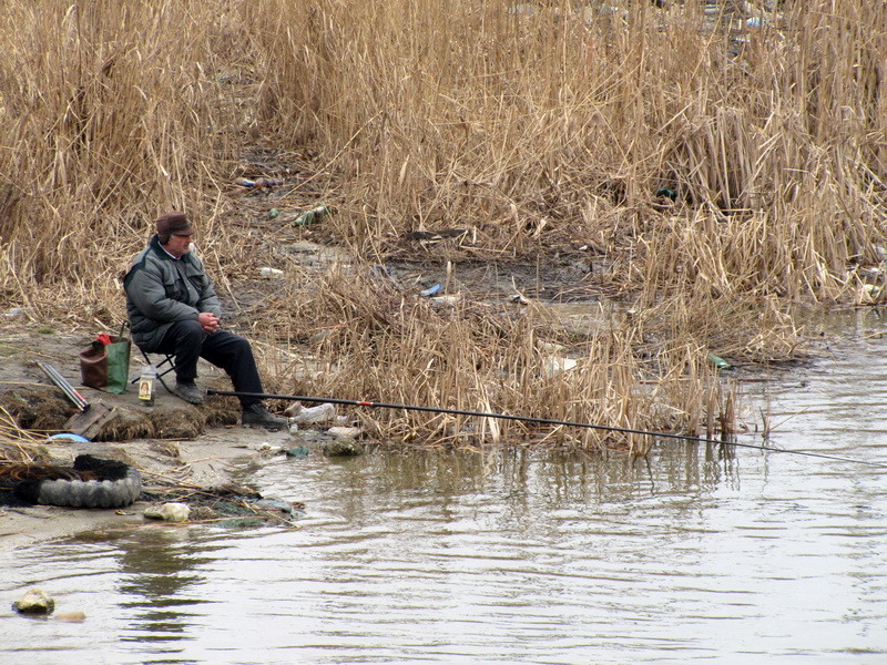 20-asteptand-poate-pestisorul-de-aur_resize