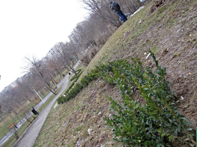 3-meandrele-vegetatiei_resize