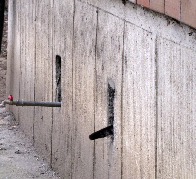 8-si-coada-i-aferenta_resize