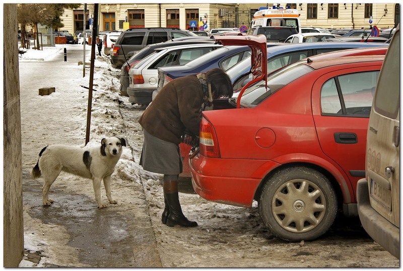 saptamana-a-noua_036