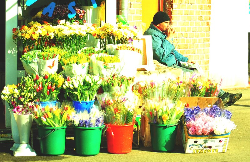 florarie la Tineretului