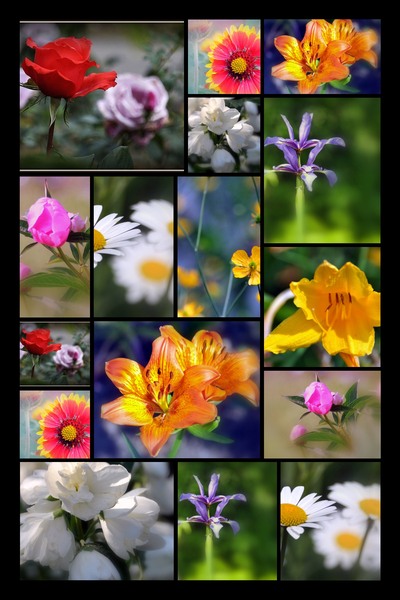 La multi ani ! ...Doamnelor si Domnisoarelor  ...08.03.2011