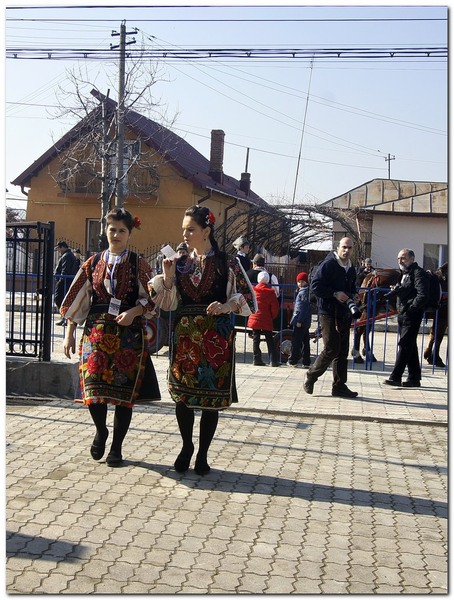 tudorita-pastele-cailor_001