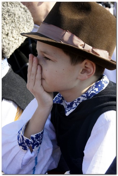 tudorita-pastele-cailor_002