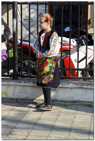 tudorita-pastele-cailor_003