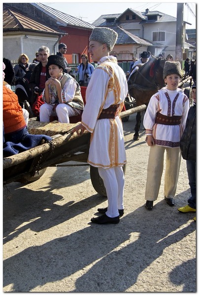 tudorita-pastele-cailor_004