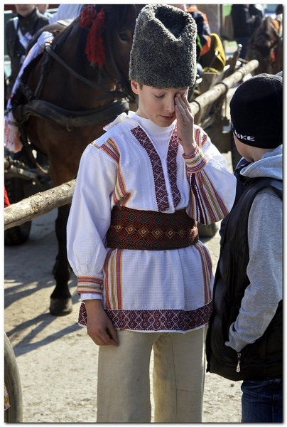 tudorita-pastele-cailor_005