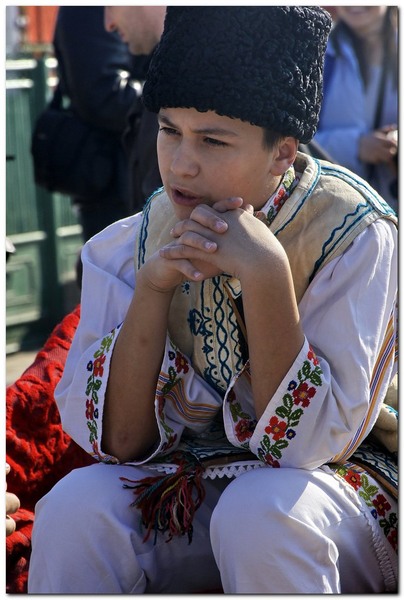 tudorita-pastele-cailor_006