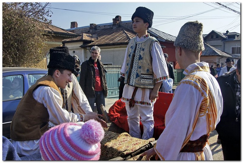 tudorita-pastele-cailor_007