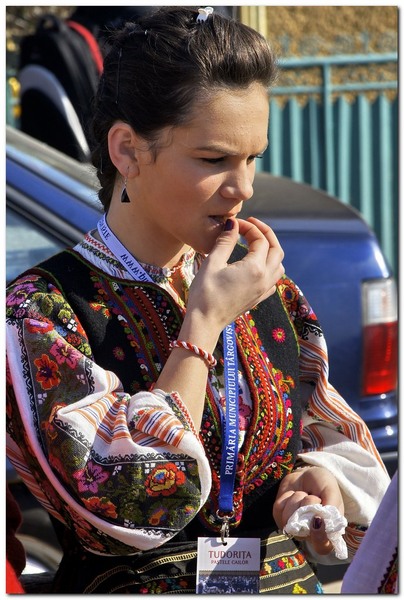 tudorita-pastele-cailor_008