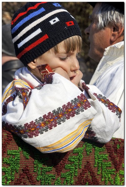 tudorita-pastele-cailor_010