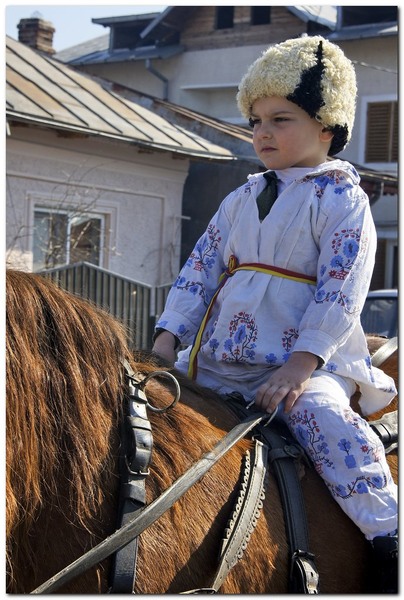 tudorita-pastele-cailor_011