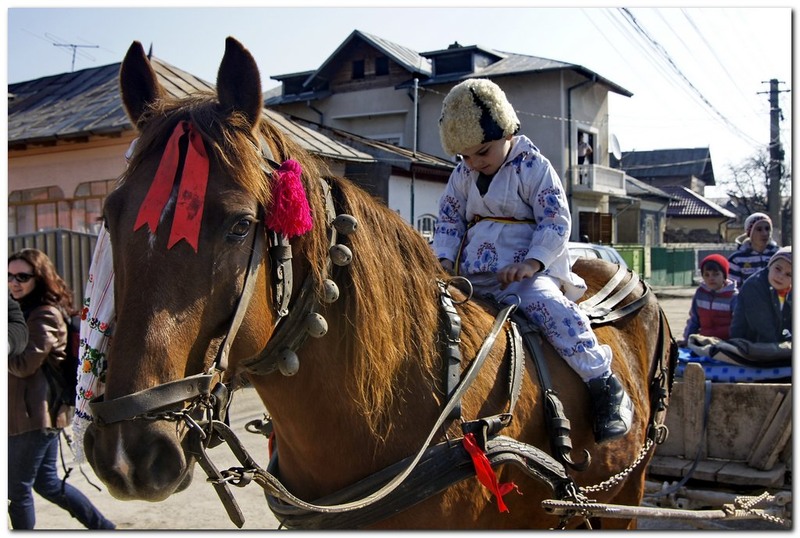 tudorita-pastele-cailor_012