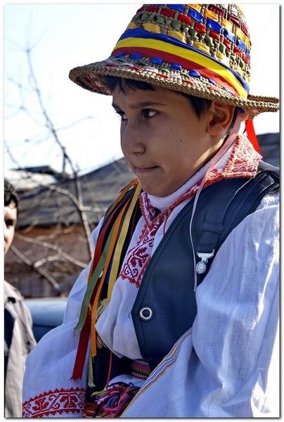 tudorita-pastele-cailor_013