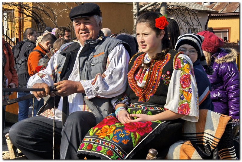 tudorita-pastele-cailor_014