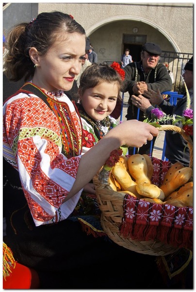 tudorita-pastele-cailor_016