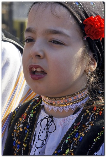 tudorita-pastele-cailor_017