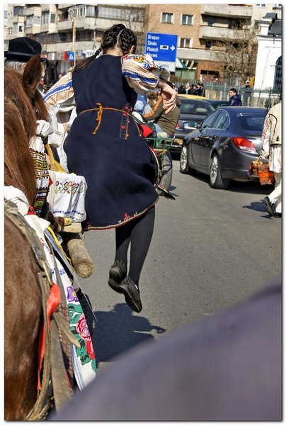 tudorita-pastele-cailor_019