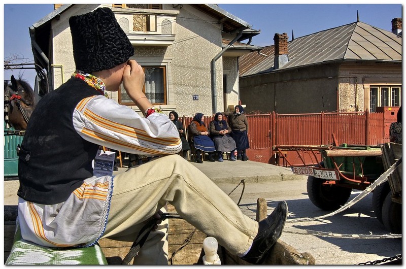 tudorita-pastele-cailor_030