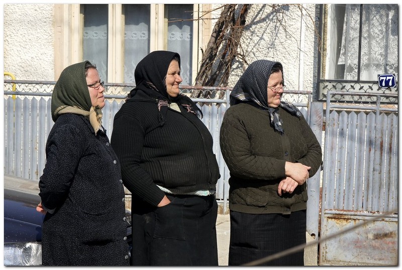 tudorita-pastele-cailor_031