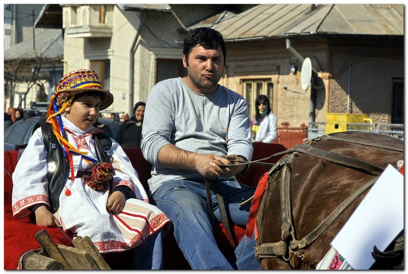 tudorita-pastele-cailor_032