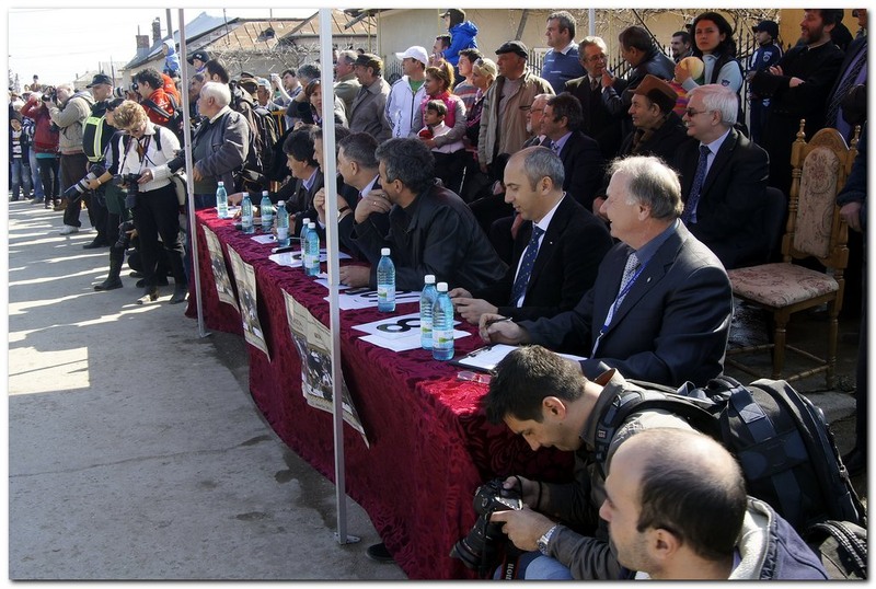 tudorita-pastele-cailor_034