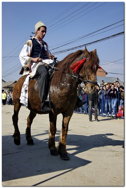 tudorita-pastele-cailor_035