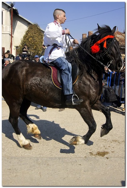 tudorita-pastele-cailor_036