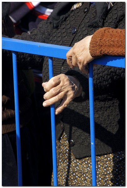 tudorita-pastele-cailor_038