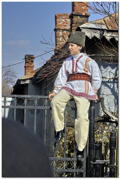 tudorita-pastele-cailor_039