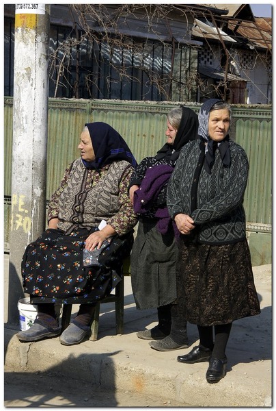 tudorita-pastele-cailor_041