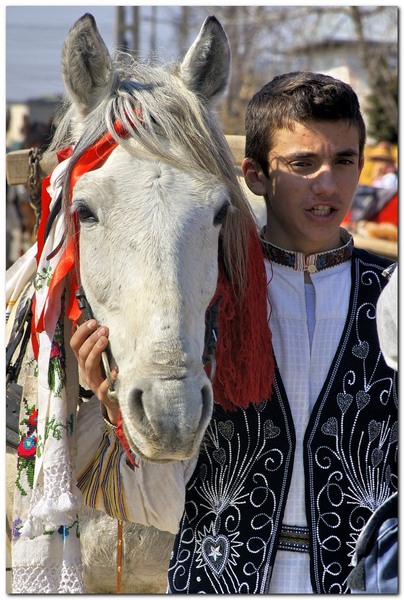 tudorita-pastele-cailor_043