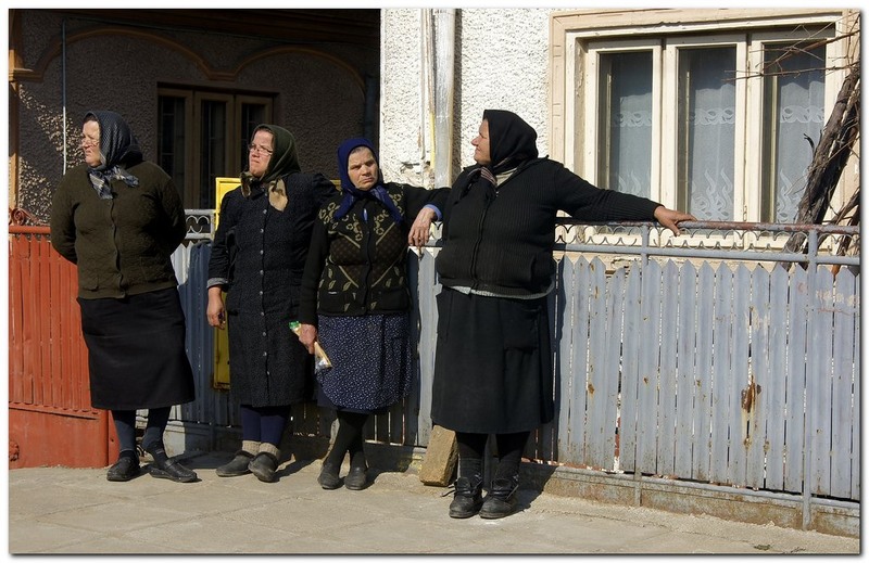 tudorita-pastele-cailor_044