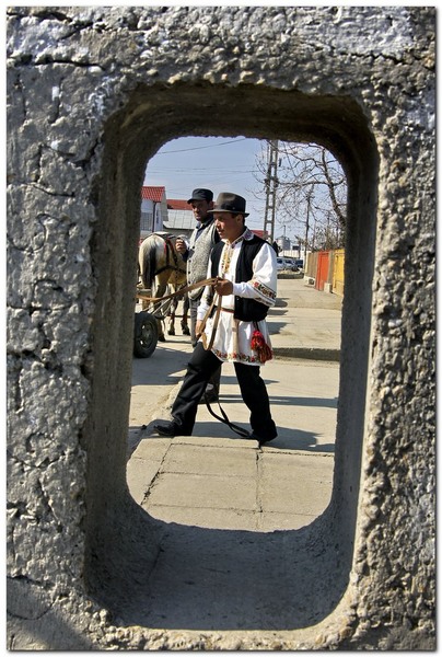 tudorita-pastele-cailor_045