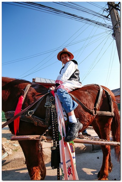 tudorita-pastele-cailor_046