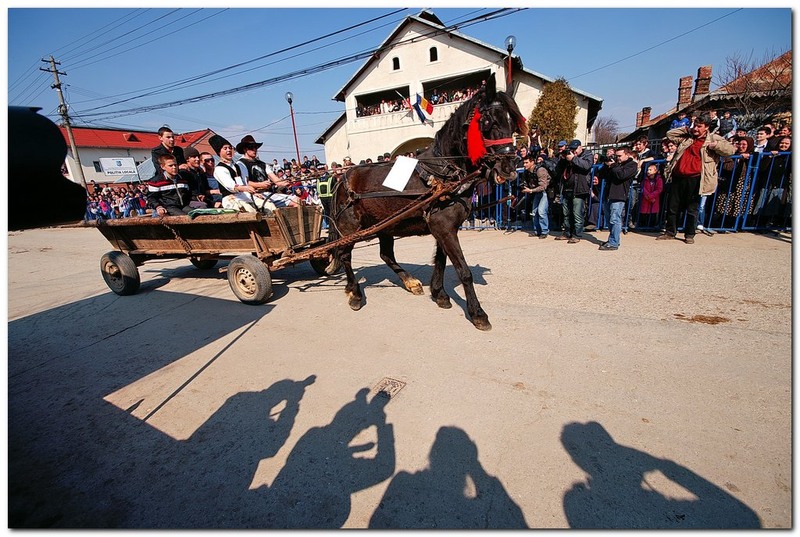 tudorita-pastele-cailor_048