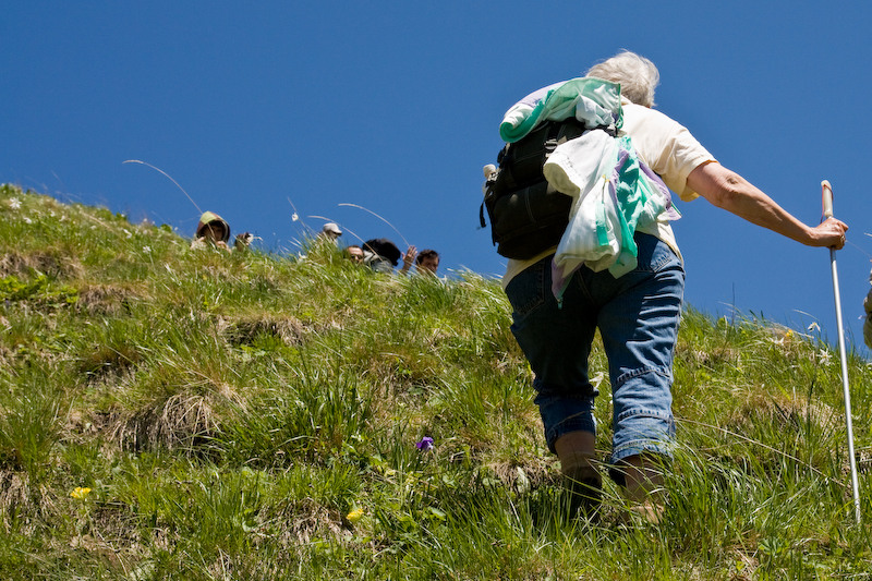 230509_dealul-narciselor-36