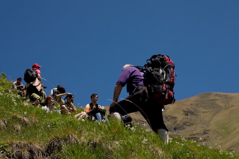 230509_dealul-narciselor-37