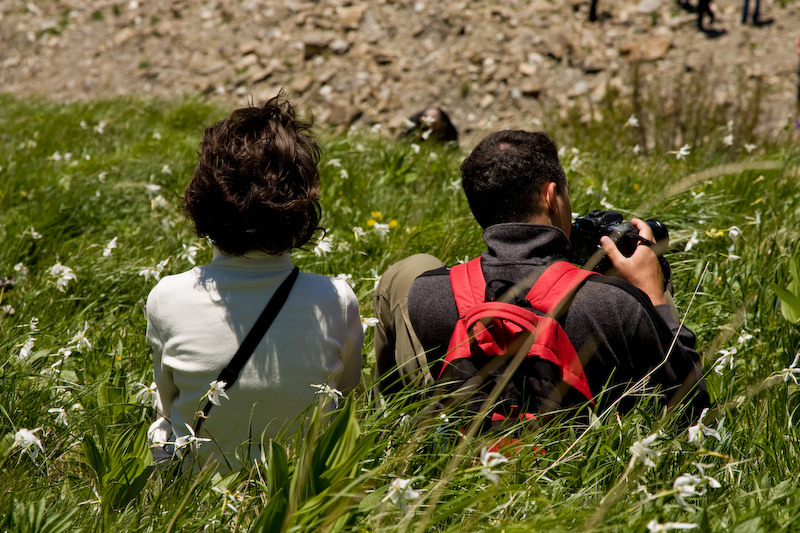 230509_dealul-narciselor-40