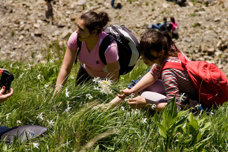 230509_dealul-narciselor-41