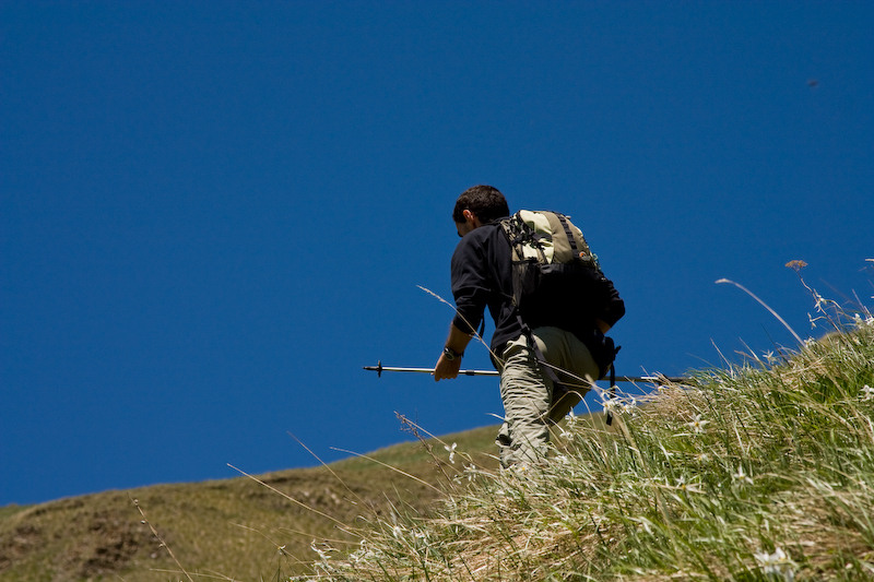 230509_dealul-narciselor-43