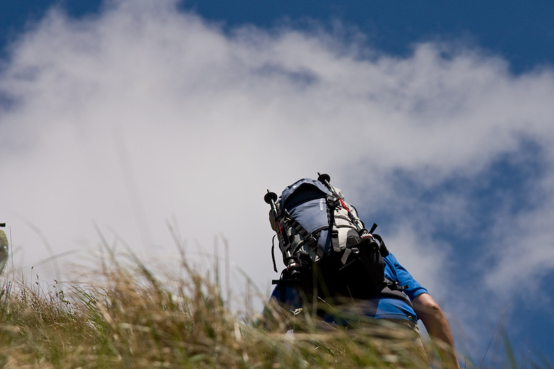 230509_dealul-narciselor-46