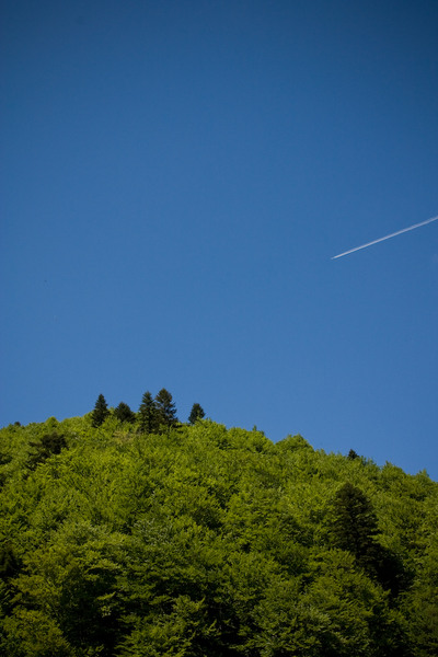 230509_dealul-narciselor-58