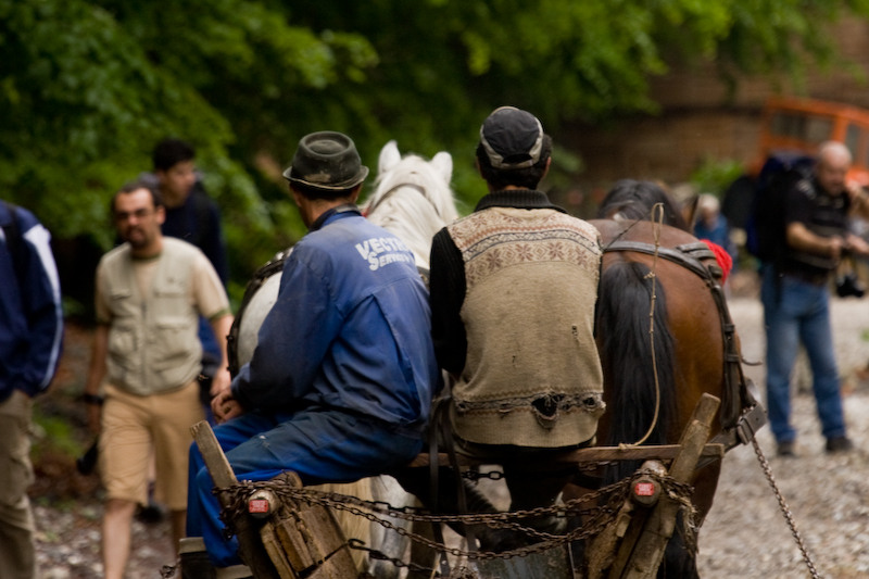 230509_dealul-narciselor-6