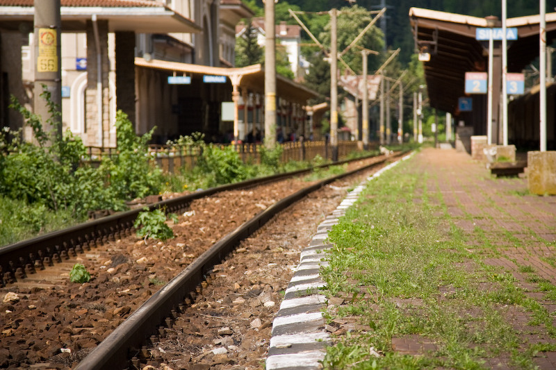 230509_dealul-narciselor-62